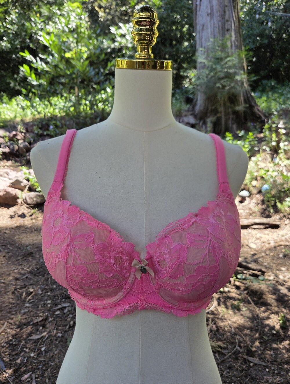 Victorias Secret Pink‎ Lace Body By Victoria Lined Demi Bra Size 36DD